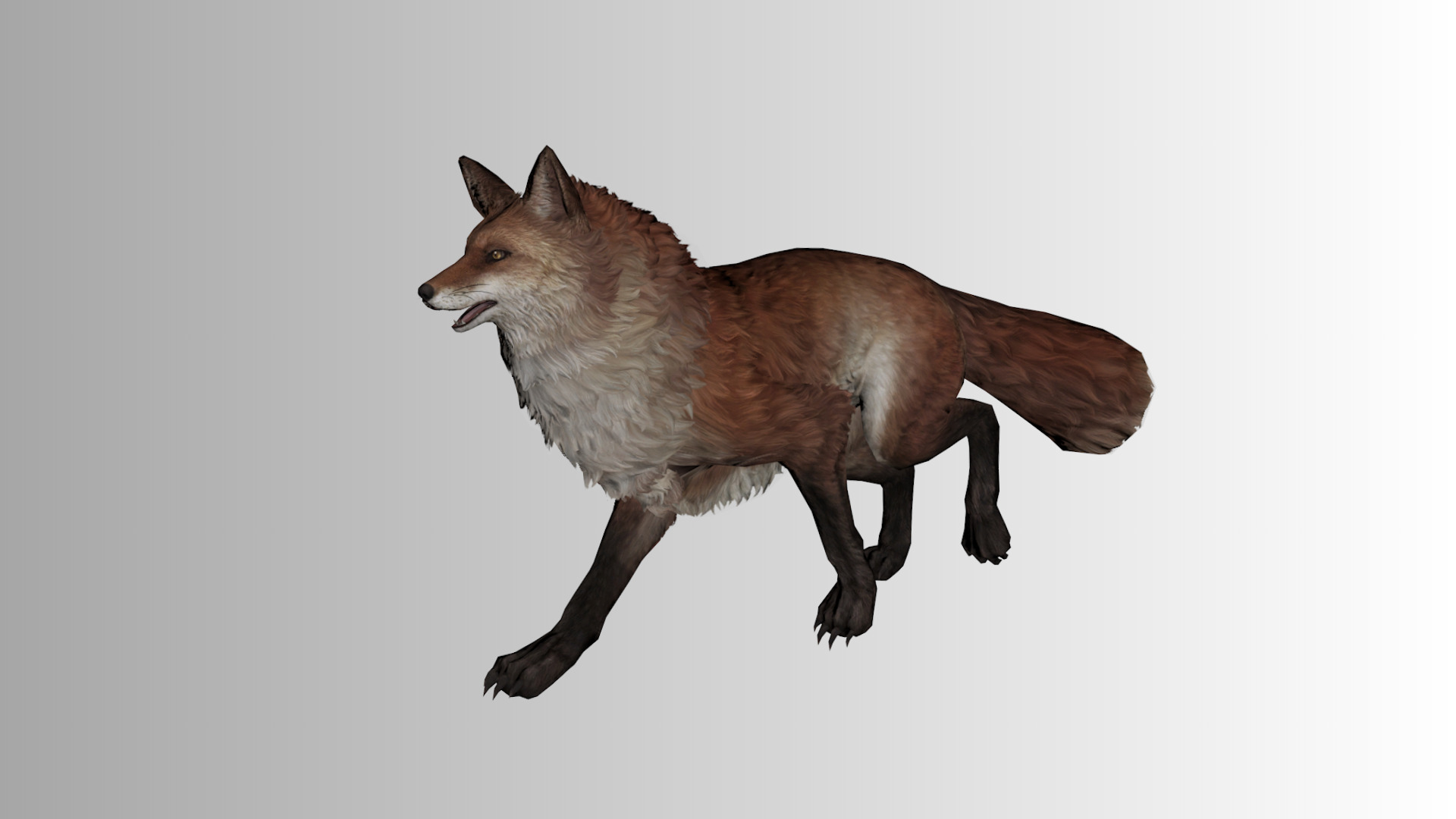 Stylized Fox 3D Model  Game Ready Multiple Colors  Low-poly 3D model_7