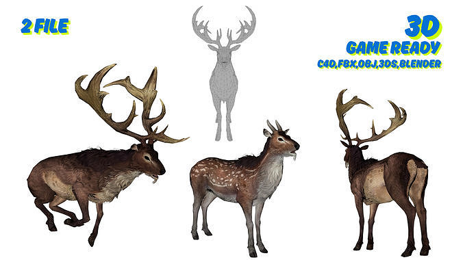 Realistic Deer 3D Model Pack 2 Game Ready Animals  C4D FBX OBJ   Low-poly 3D model
