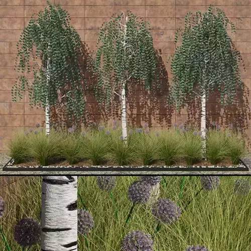 Modern flowerbed with Birches