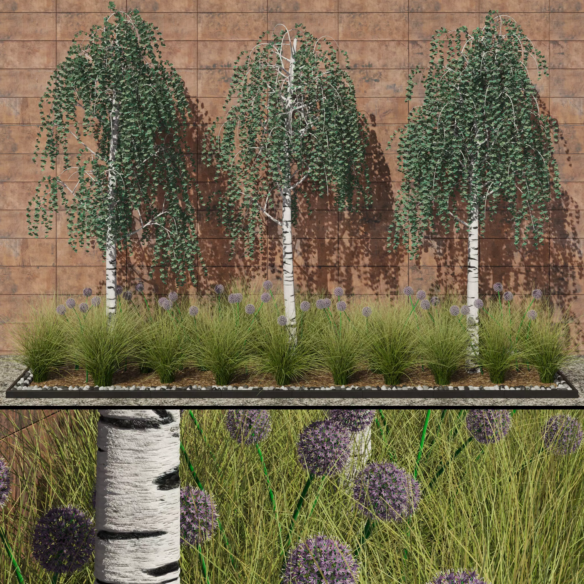 Modern flowerbed with Birches 3D model