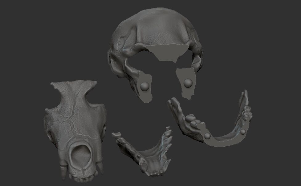 Skull mask with movable jaw 3D print model_5