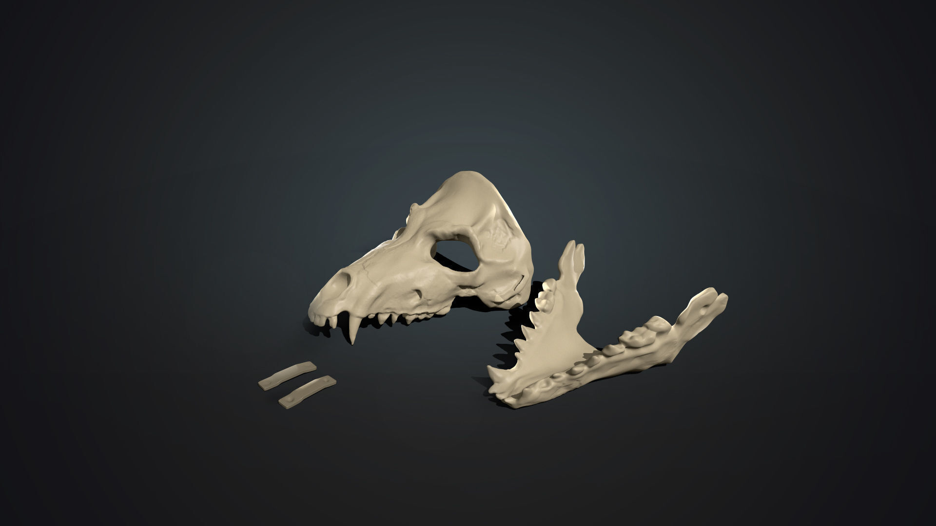 Skull mask with movable jaw 3D print model_2