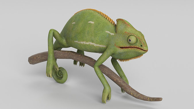 Chameleon 3D model