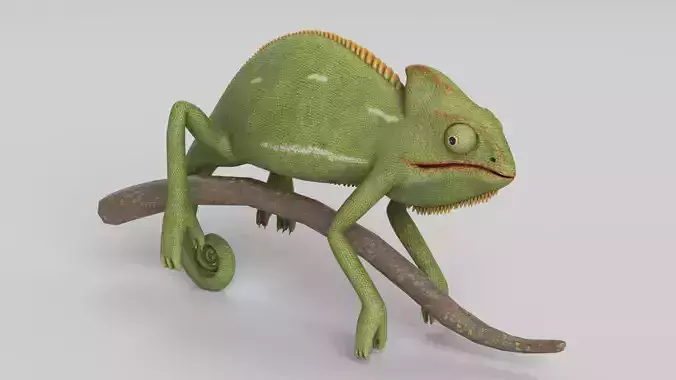 Chameleon