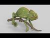 Chameleon 3D model_1