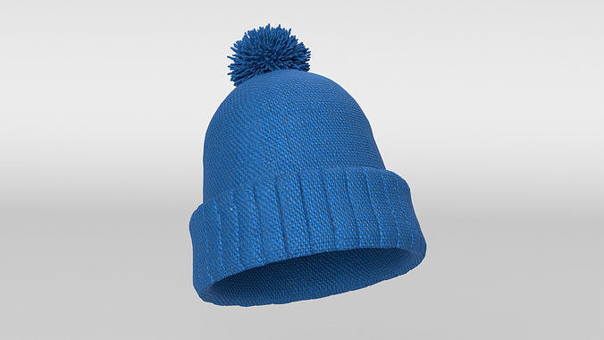 Winter Hat 3D model
