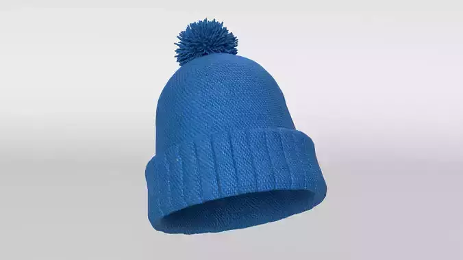 Winter Hat 3D model