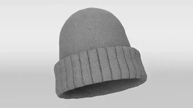 Winter Hat 3 3D model