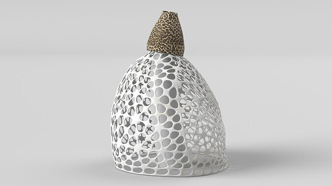Veiled Lady Mushroom 3D model