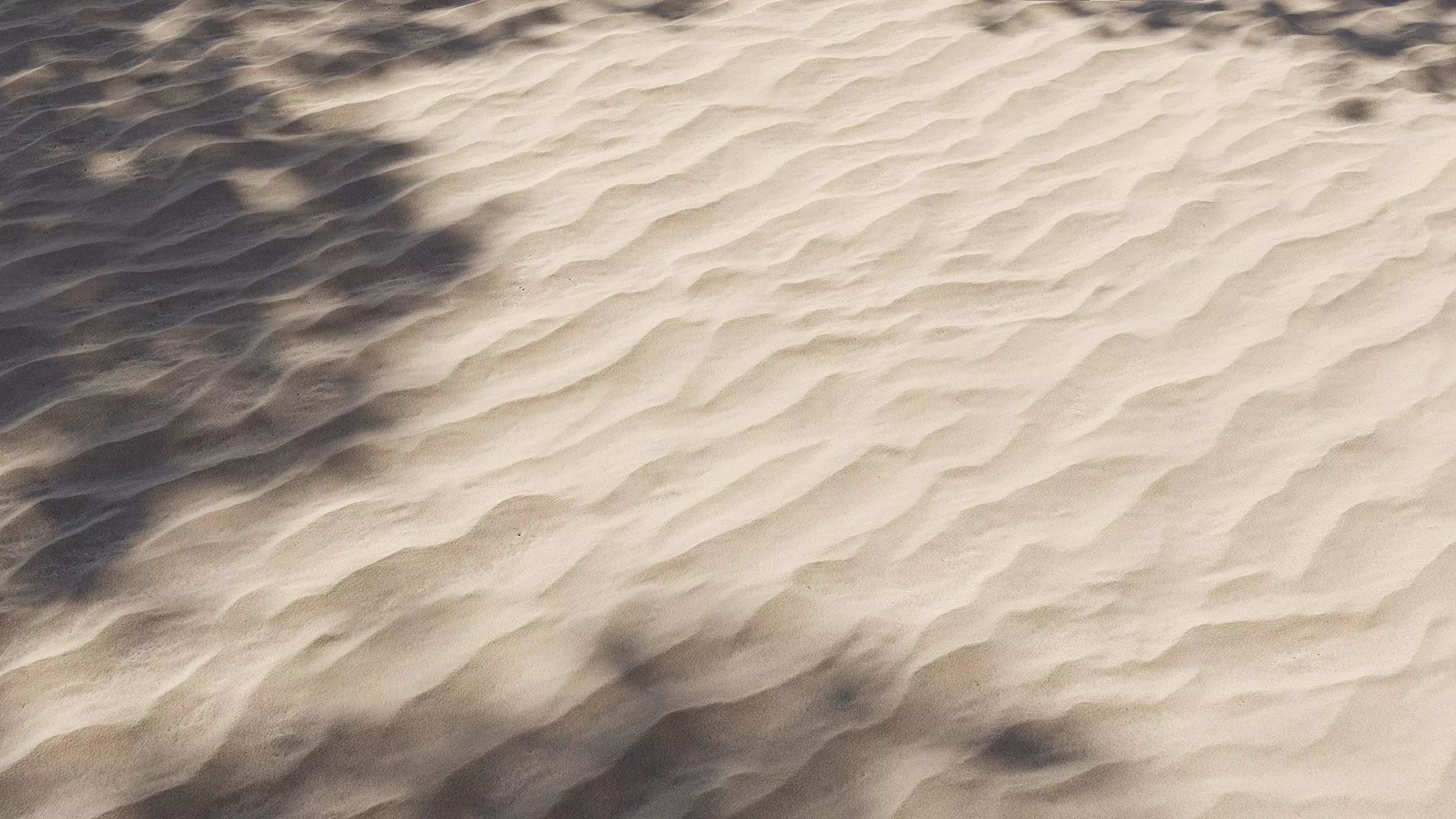 Sand 03 Texture_0