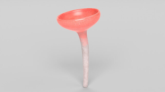Cookeina Speciosa Mushroom Low-poly 3D model