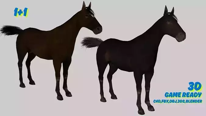 Realistic Horse 3D Model Pack 2 Variants  Game Ready Animals