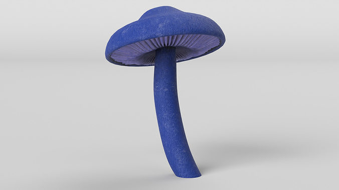 Leptonia Carnea Mushroom 3D model
