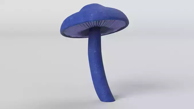 Leptonia Carnea Mushroom