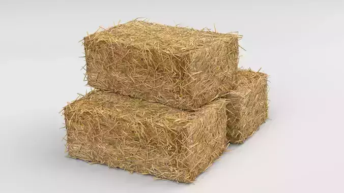 Hay Bale Stack 3D model