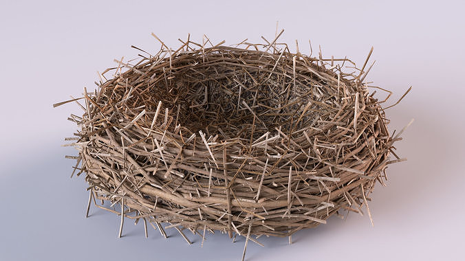 Bird Nest 3D model