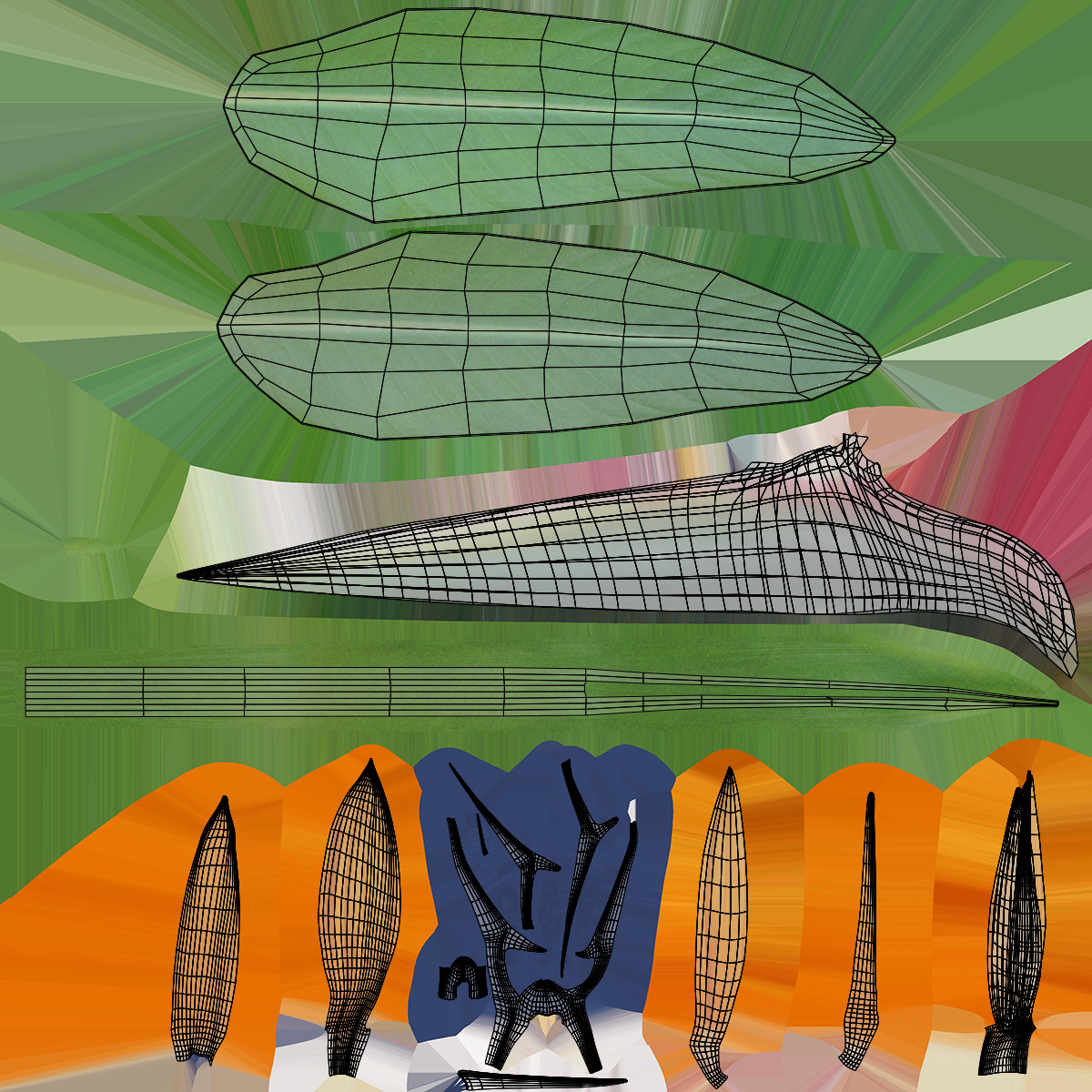 Bird of Paradise 3D model_14