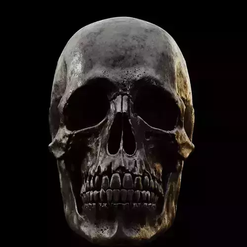 HELLFORGED BLACK SKULL STL Model Print Fan Art 3D print model