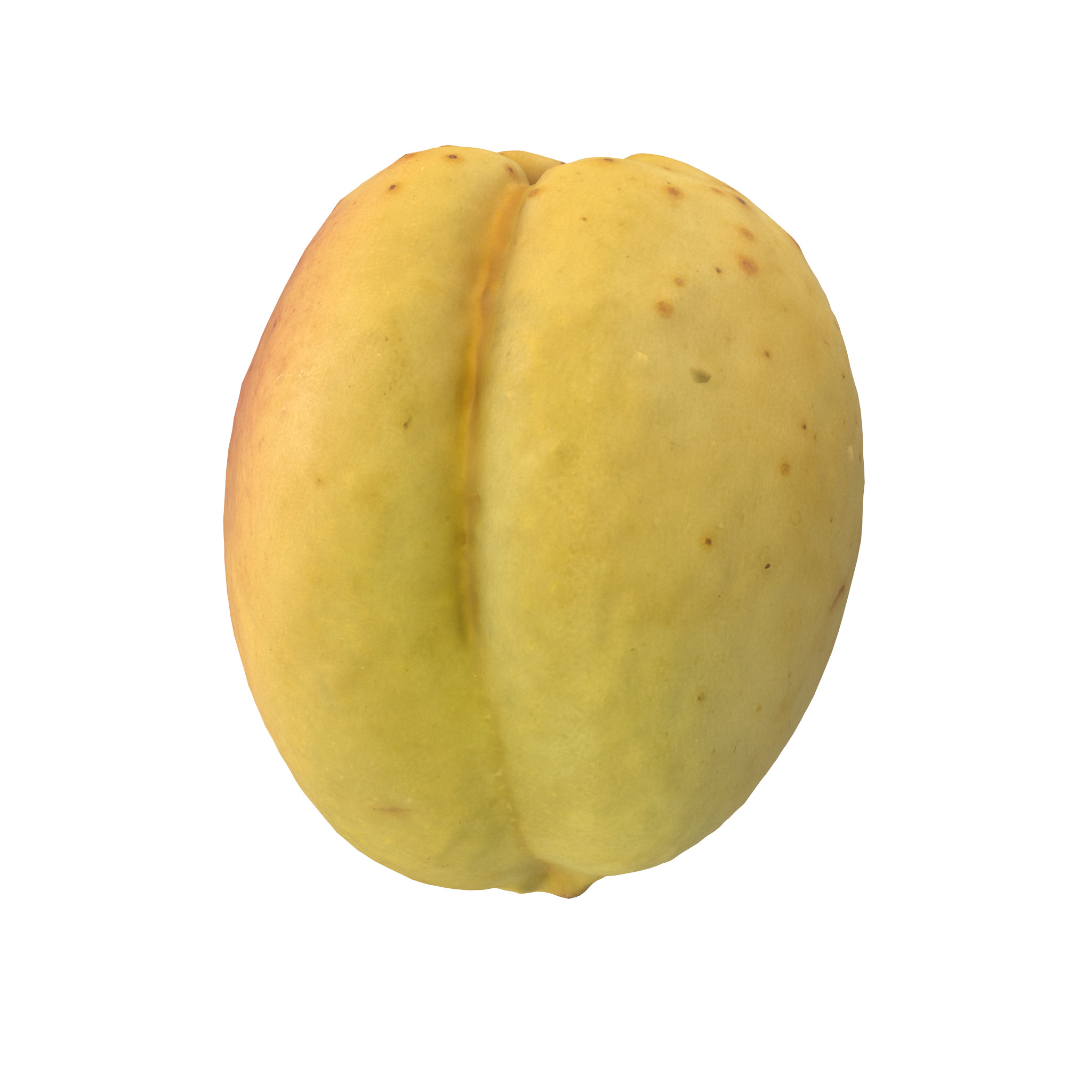 Apricot Low-poly 3D model_4