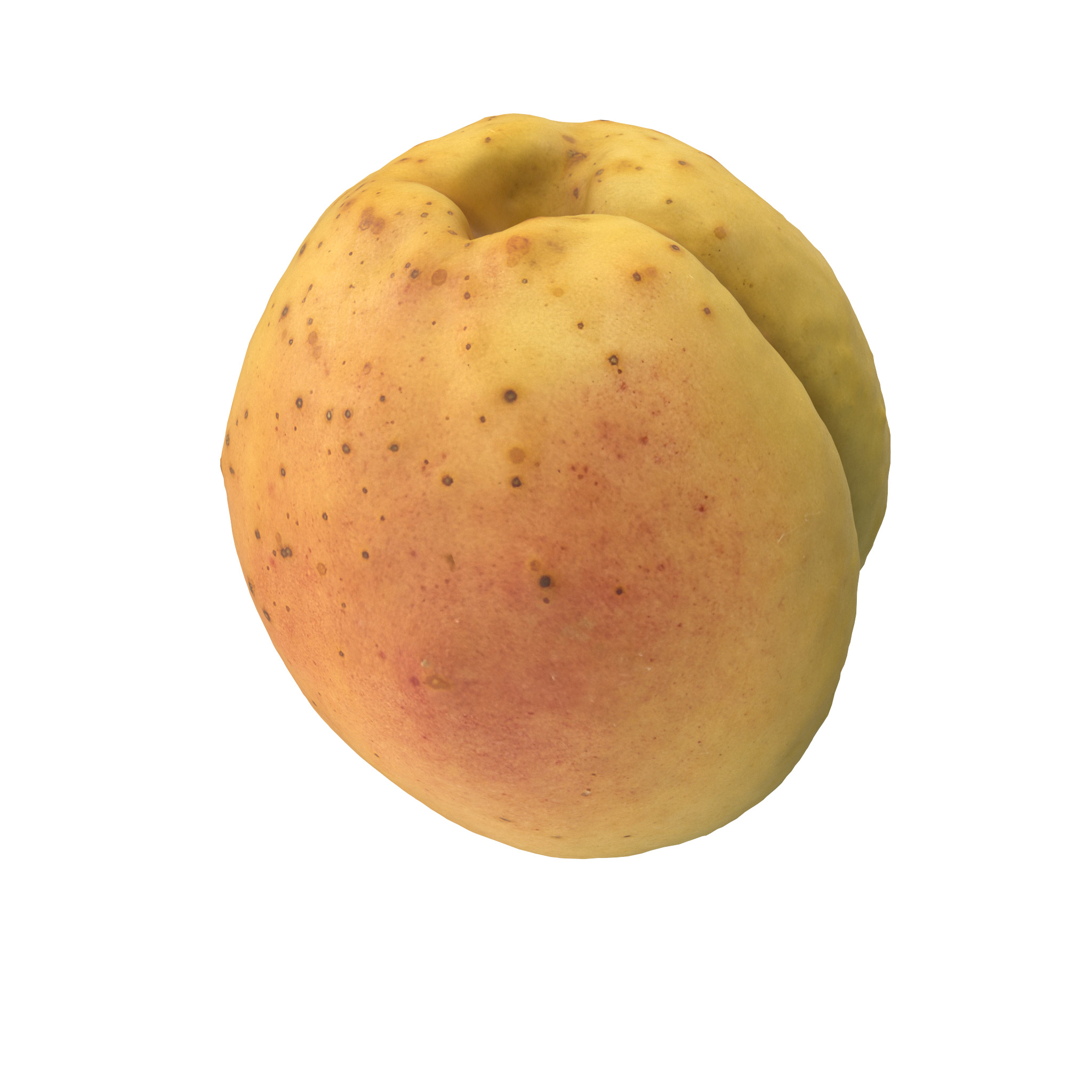 Apricot Low-poly 3D model_2