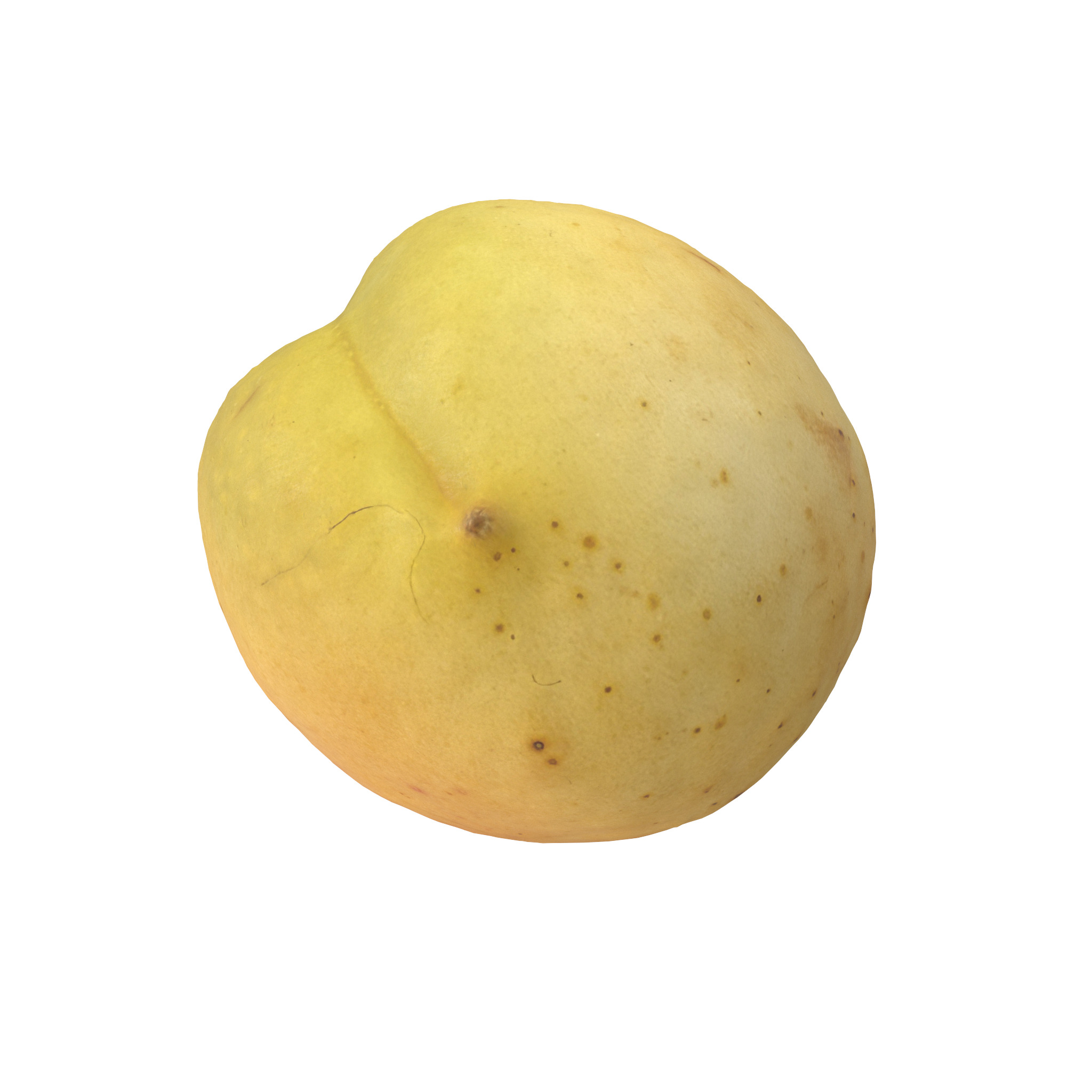 Apricot Low-poly 3D model_5