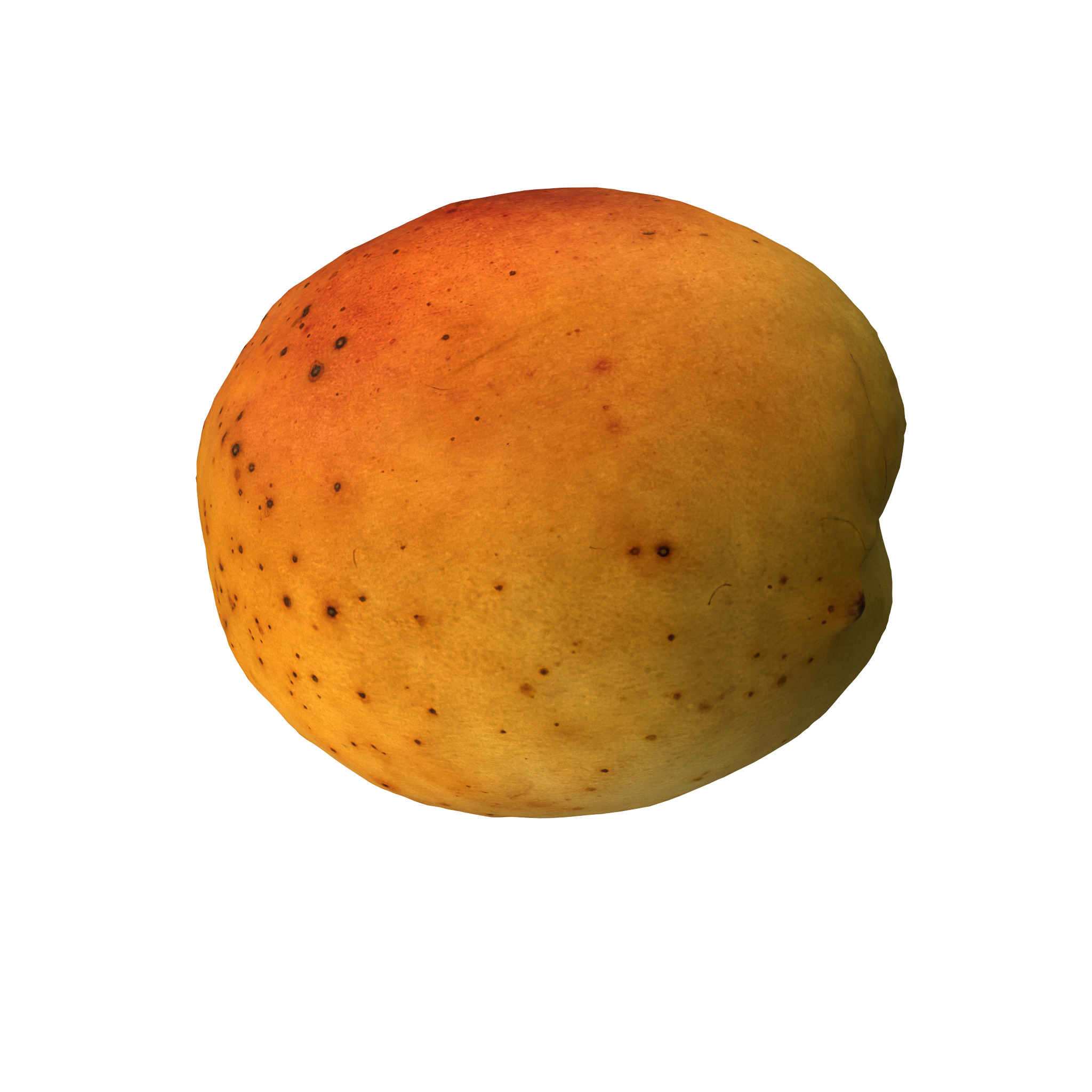 Apricot Low-poly 3D model_3