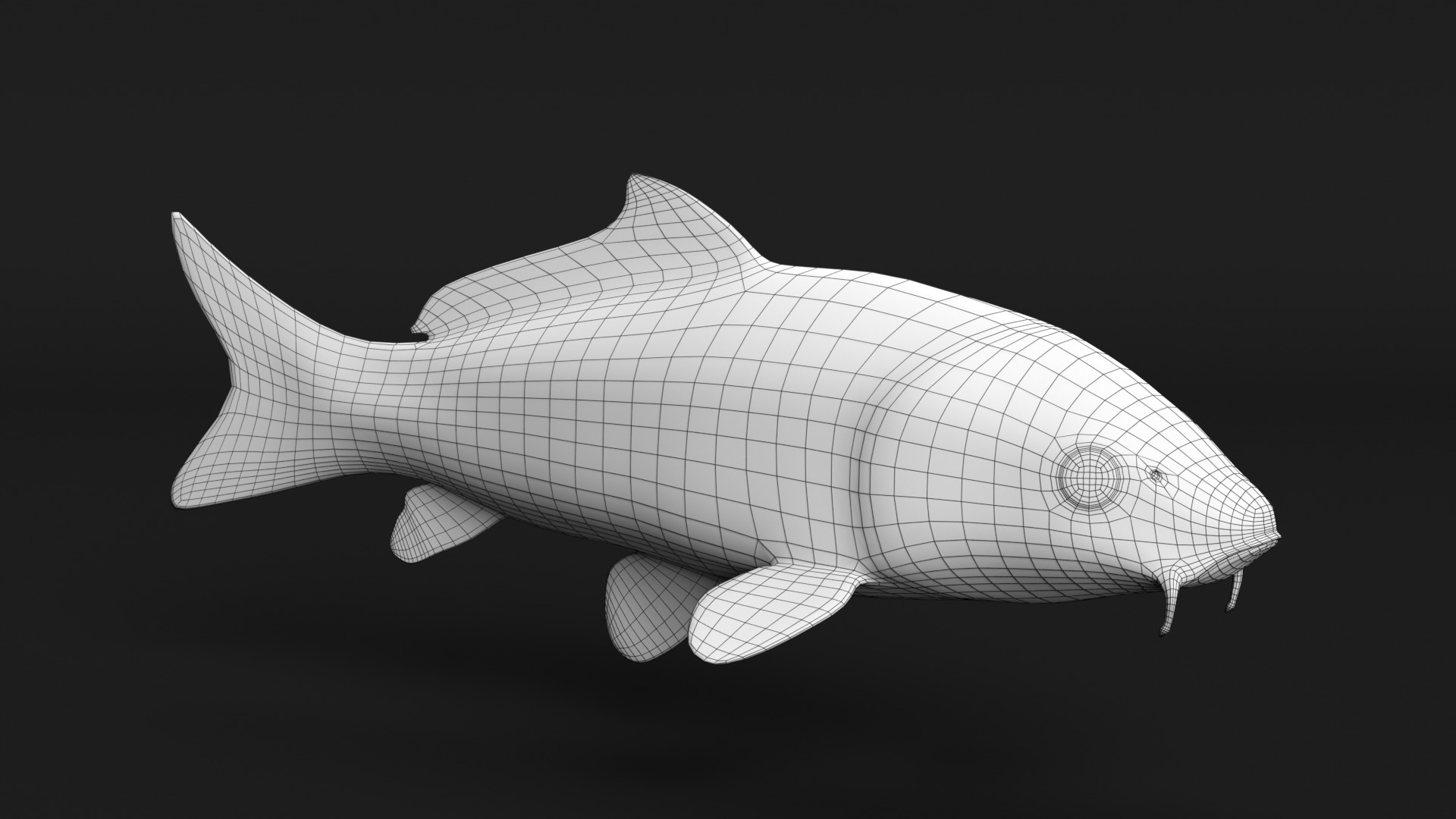 Koi Fish Low-poly 3D model_11