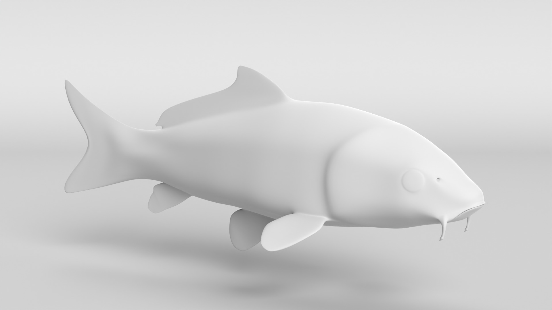 Koi Fish Low-poly 3D model_10