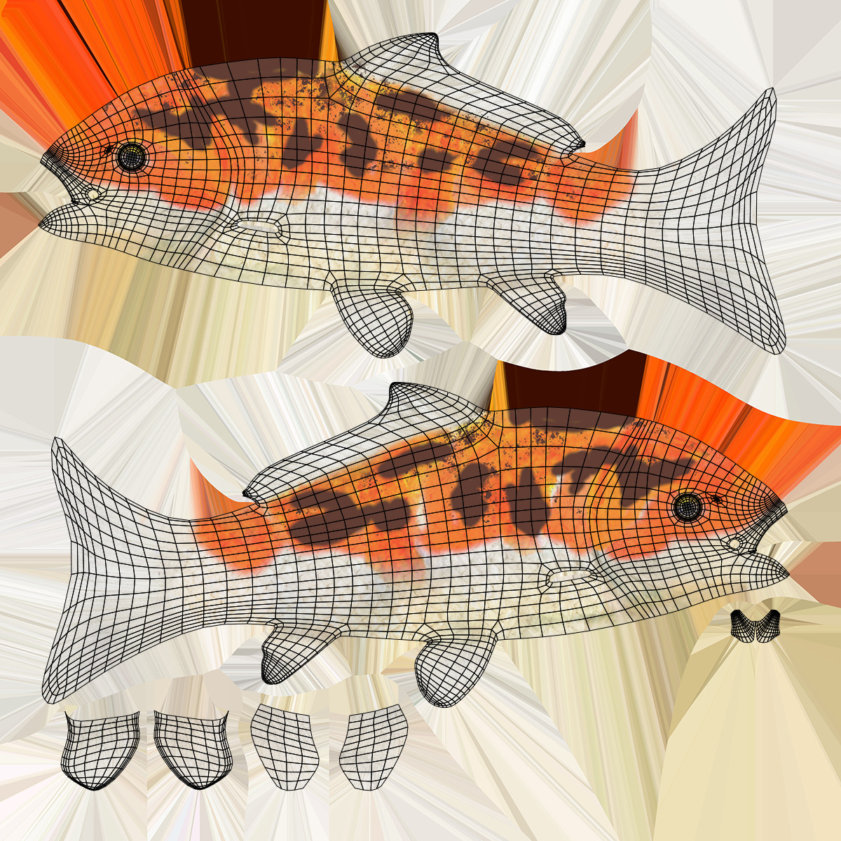 Koi Fish Low-poly 3D model_13