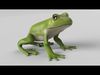 Green Tree Frog Animated Low-poly 3D model_1