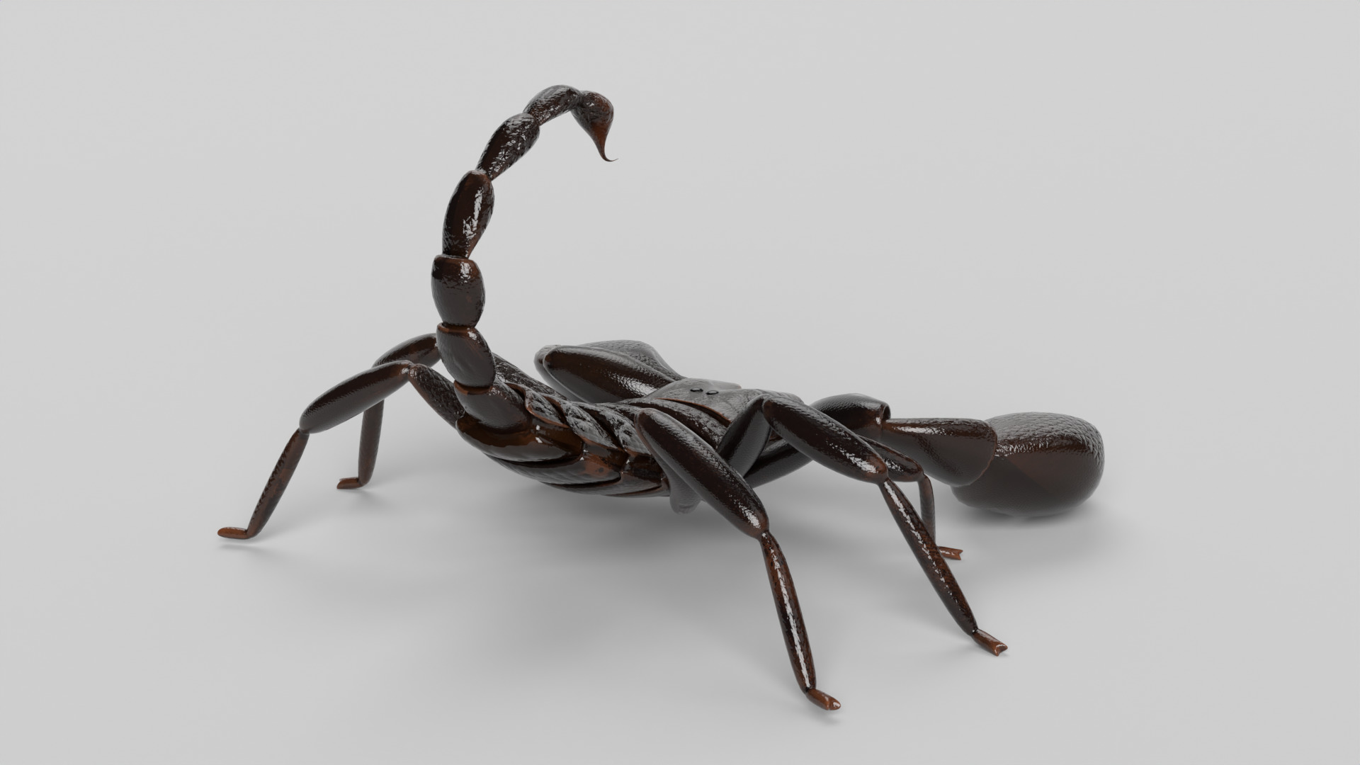 Scorpion 3D model_3