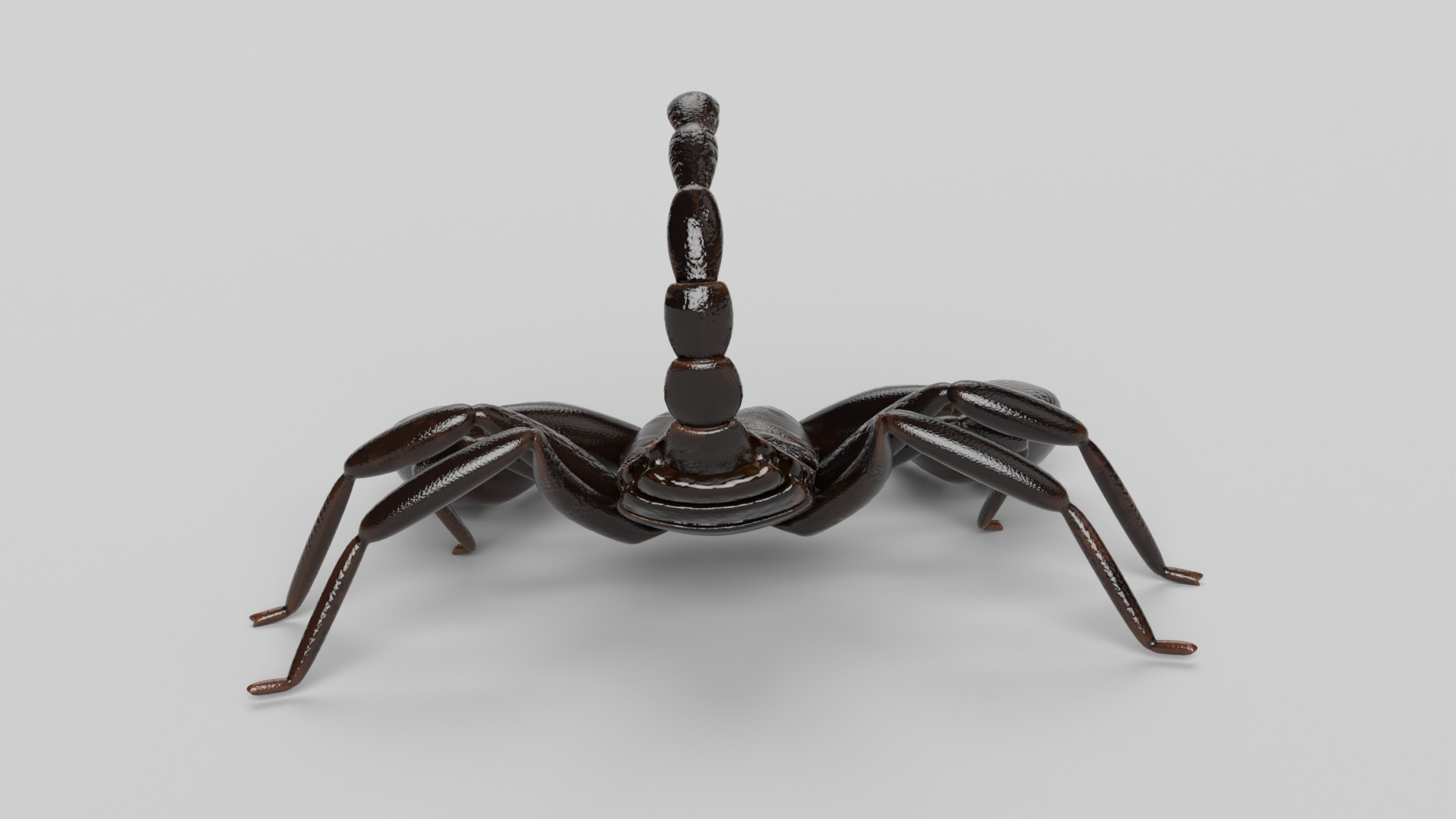 Scorpion 3D model_5