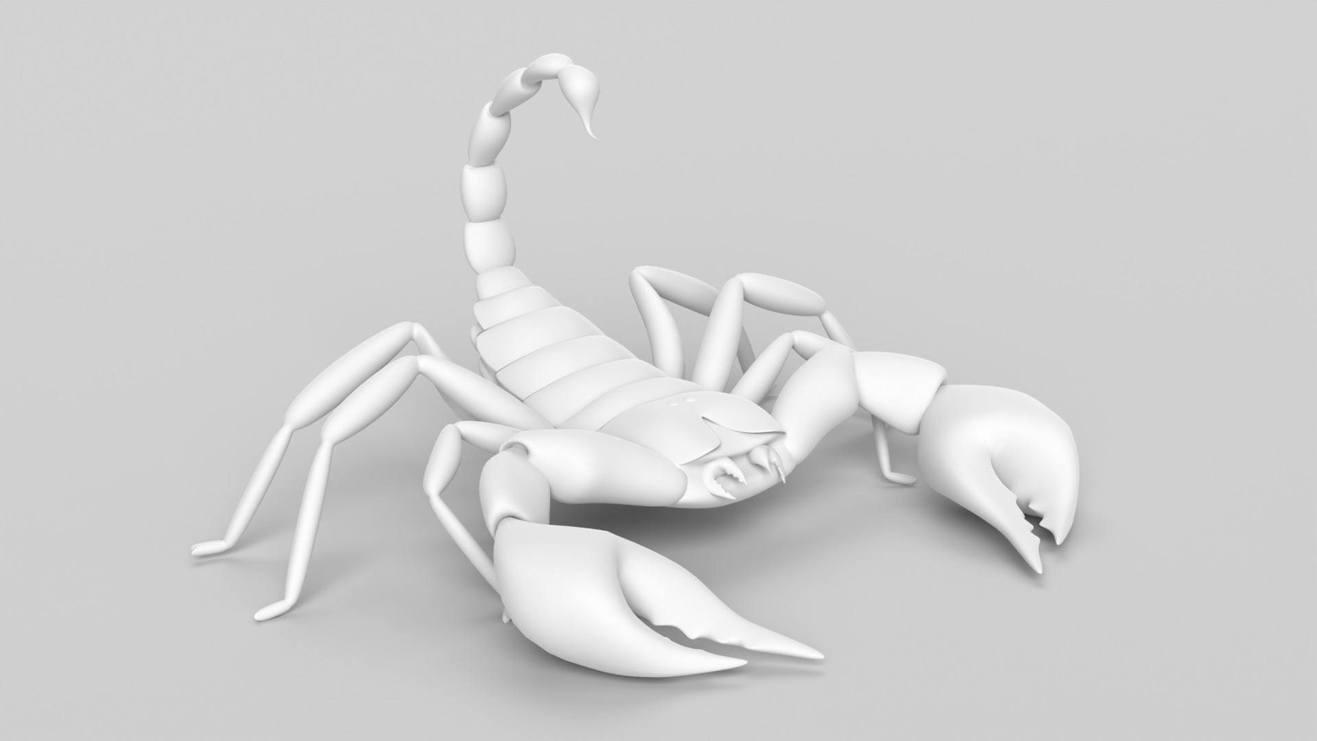 Scorpion 3D model_10