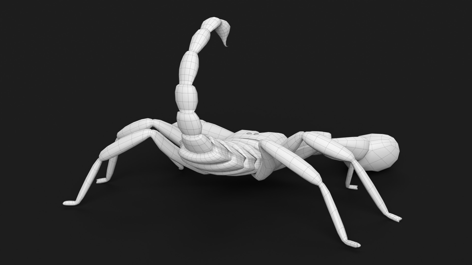 Scorpion 3D model_12
