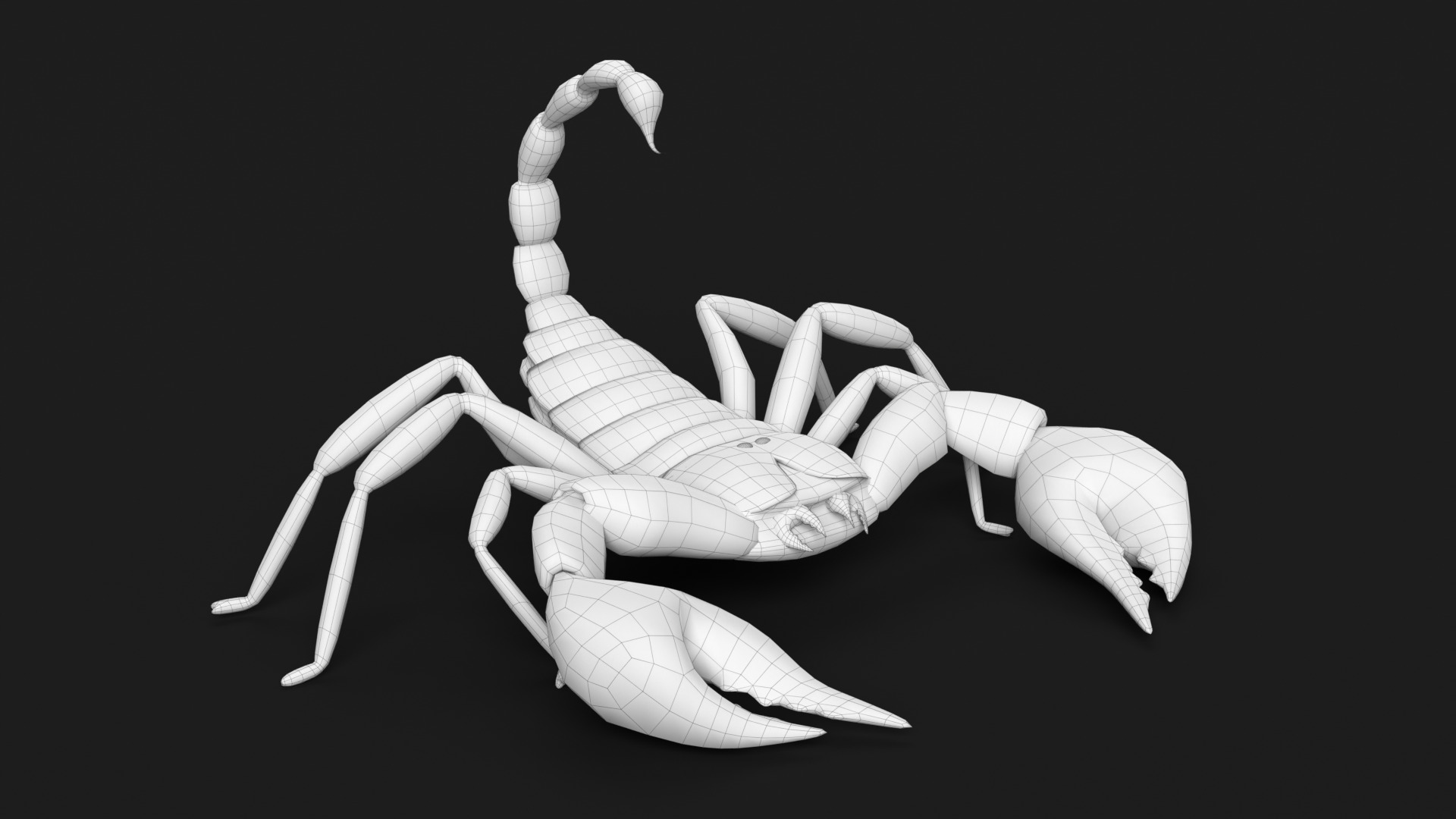 Scorpion 3D model_11