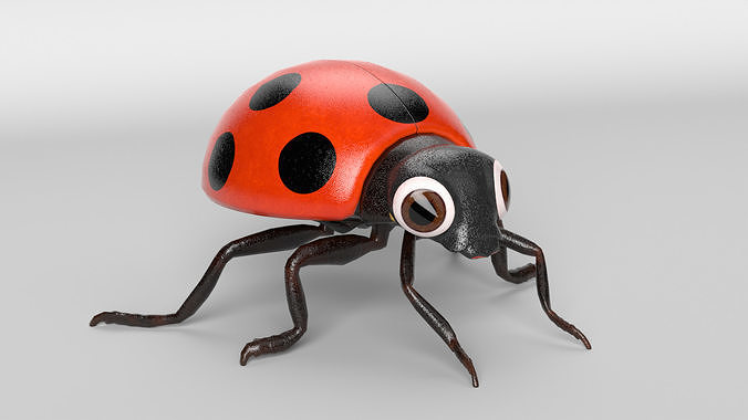 Cartoon Ladybug 3D model