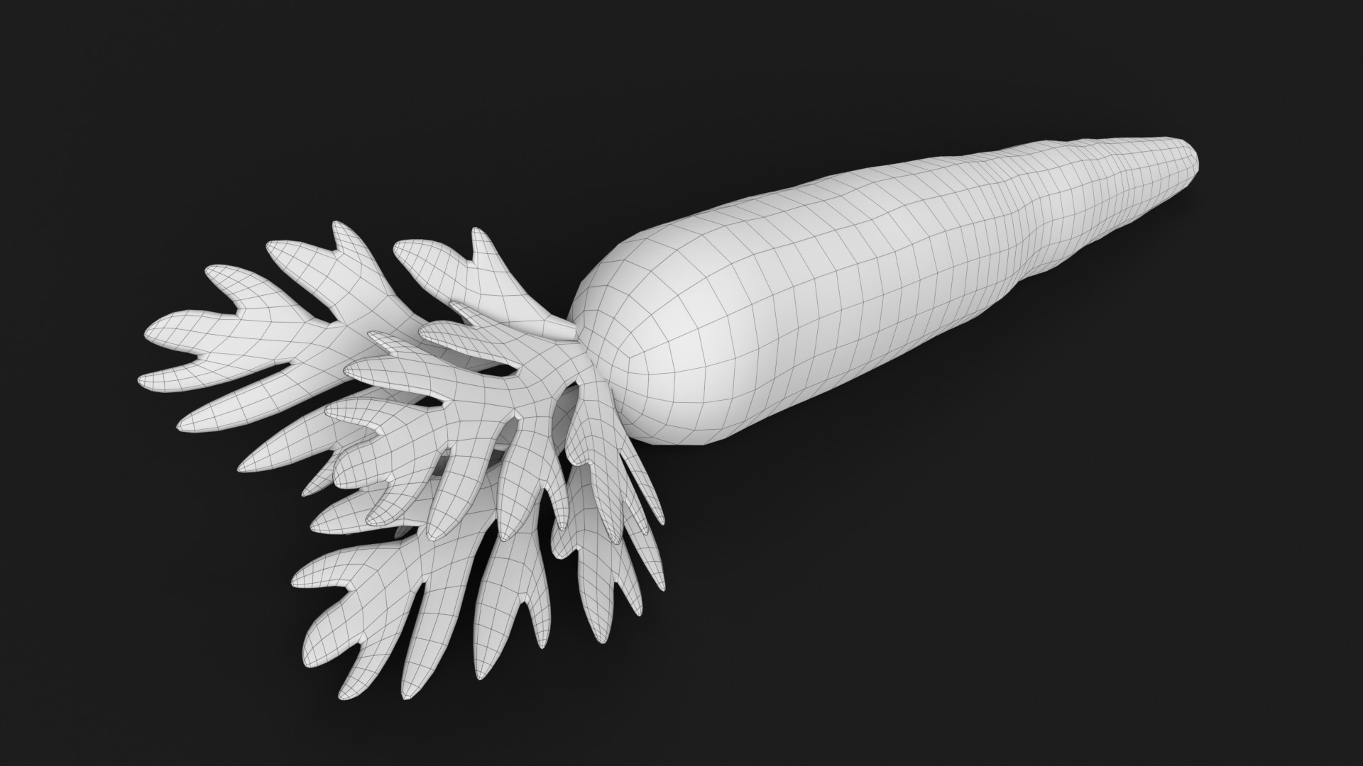 Carrot Low-poly 3D model_12