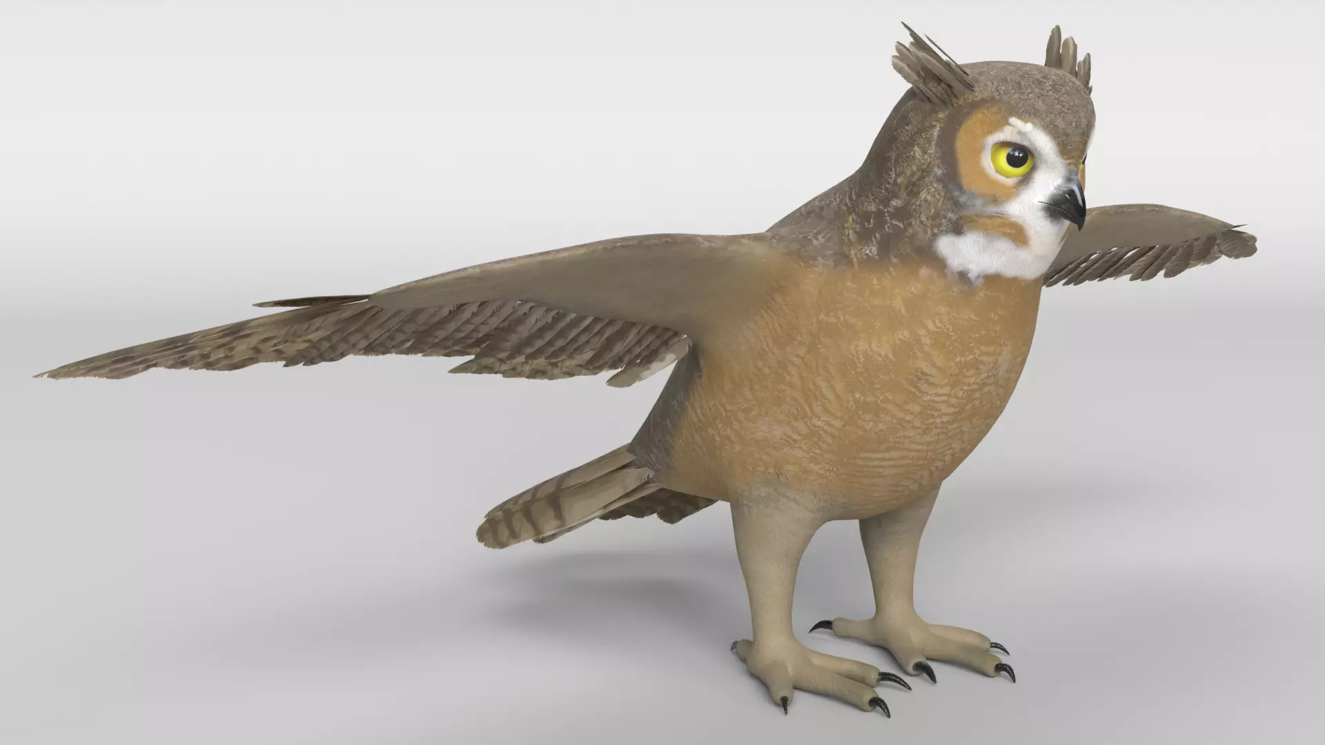 Cartoon Great Horned Owl 3D model