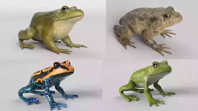 Animated Frog Collection 
