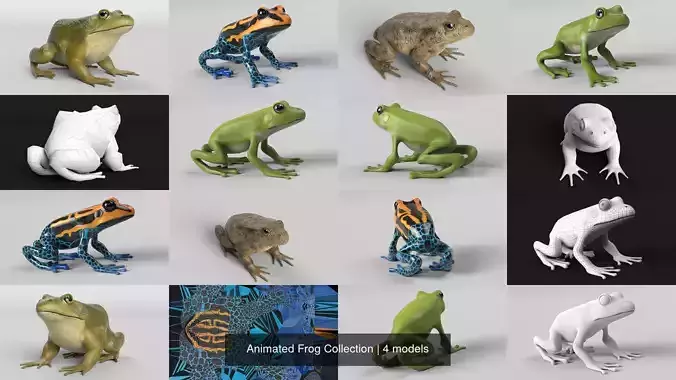 Animated Frog Collection