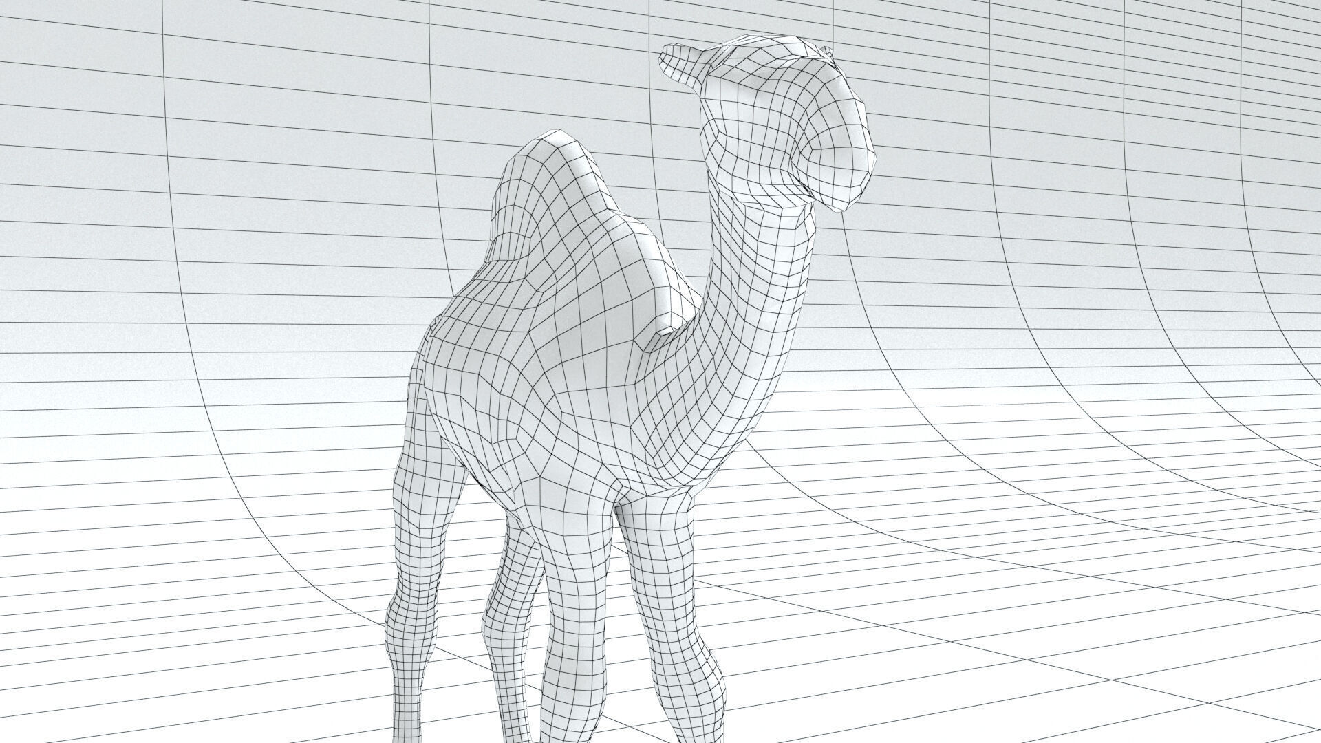 laos Dromedary 3D model_14