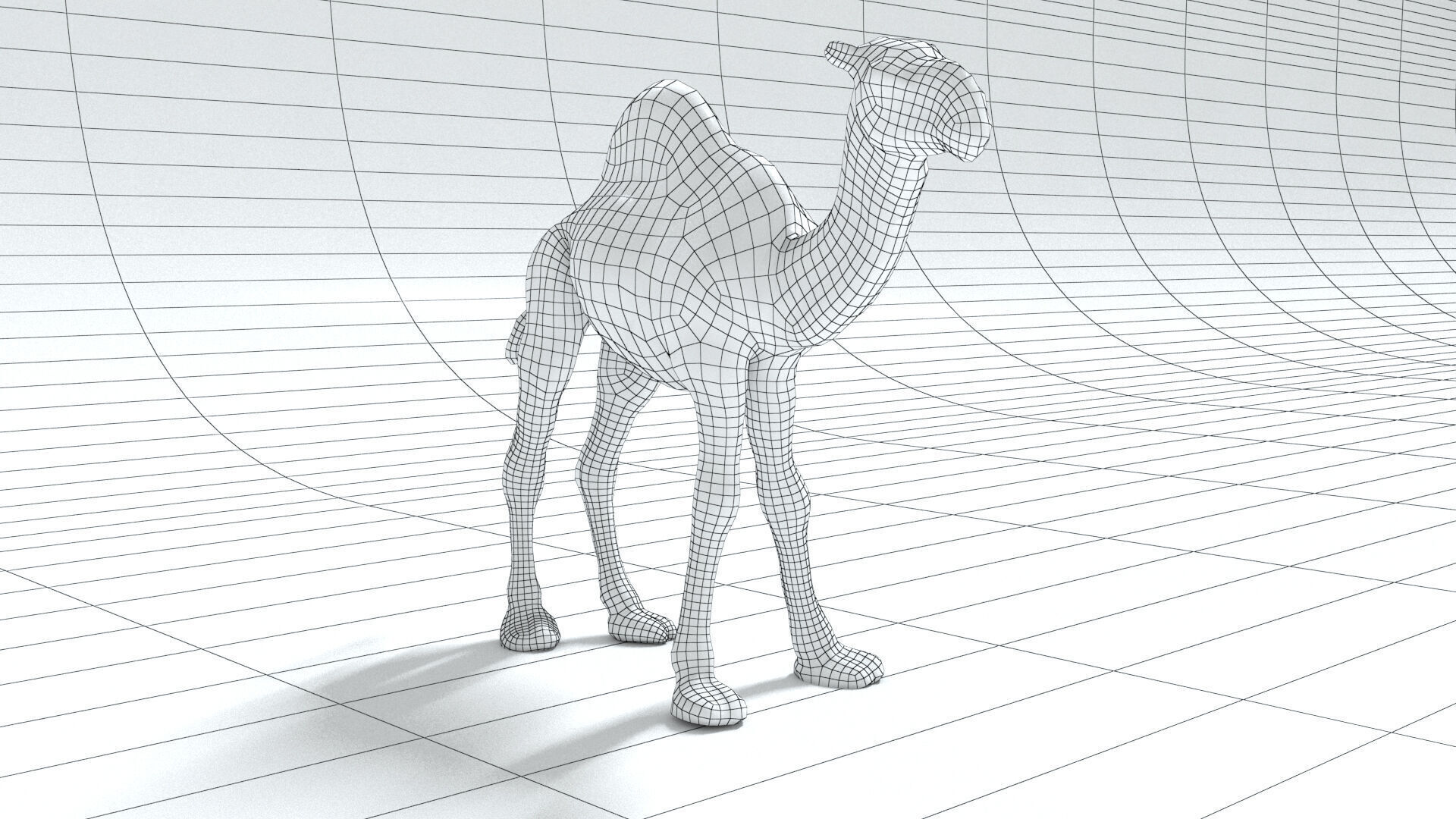 laos Dromedary 3D model_11