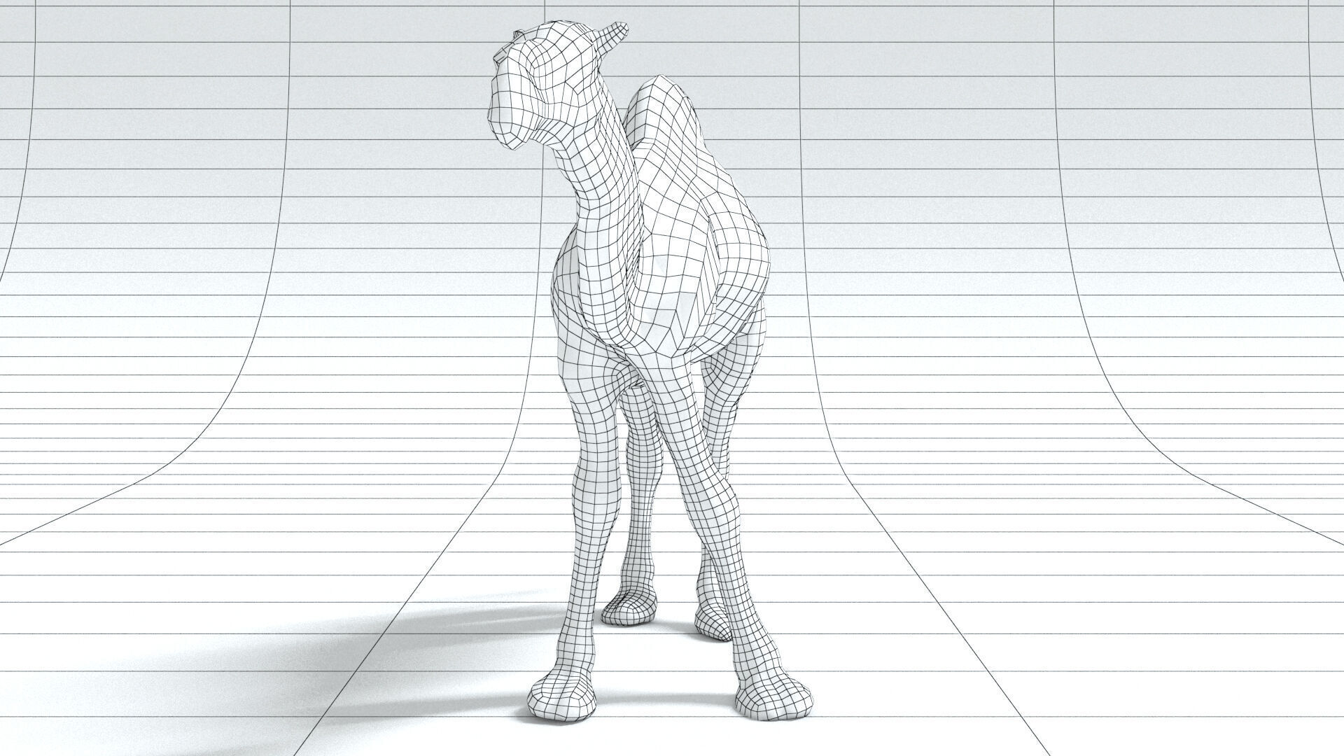 laos Dromedary 3D model_10