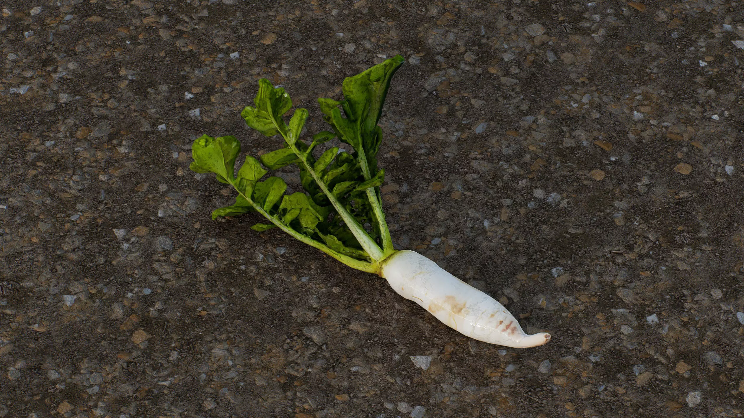 White radish Low-poly 3D model