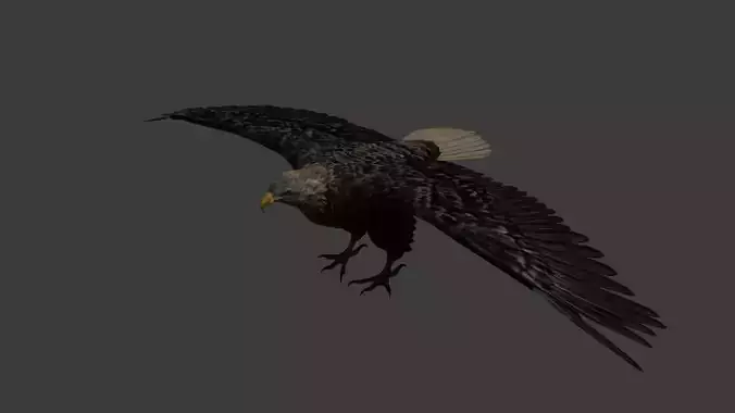 The Eagle game ready