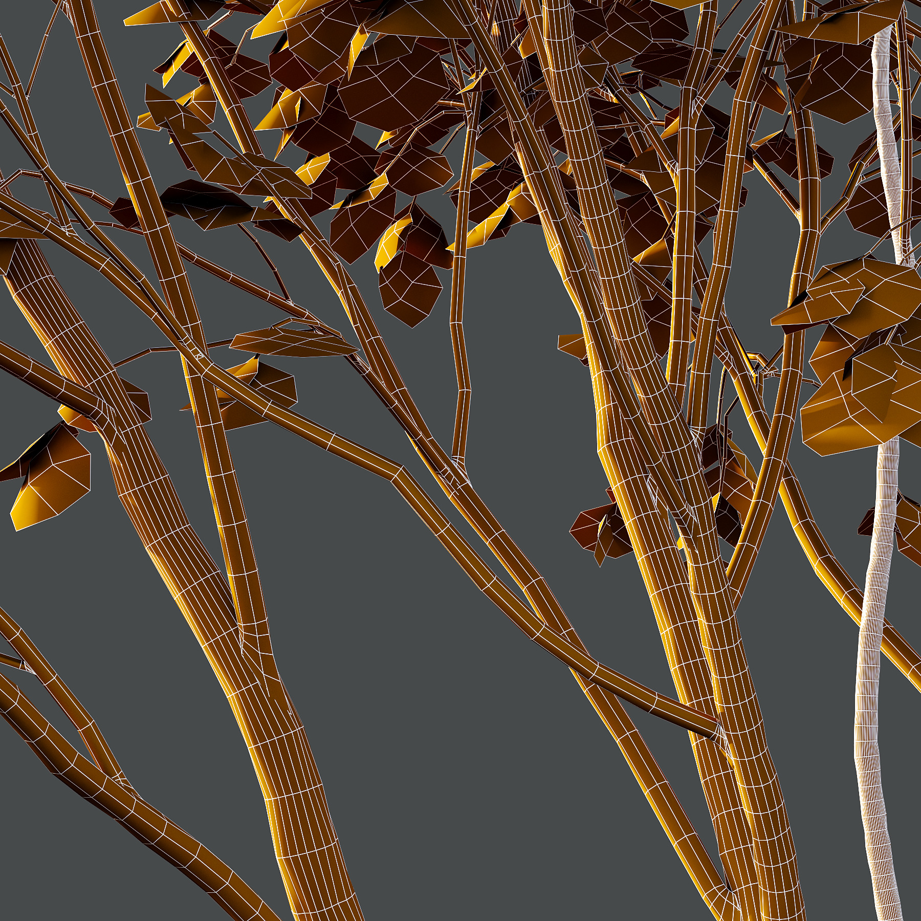 Acer Pseudoplatanus spring trees 01 3D model_6