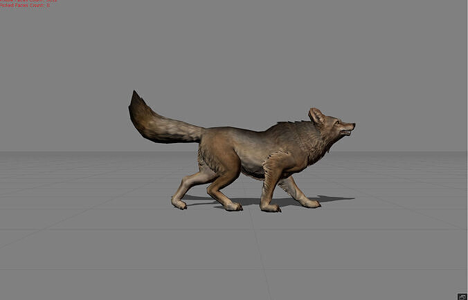 Coyote Wolf Animal  Low-poly 3D model