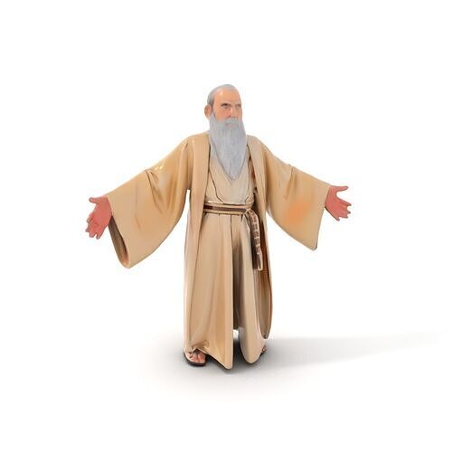 Wise Old Sage Rigged and Animated D Character Model Low-poly 3D model