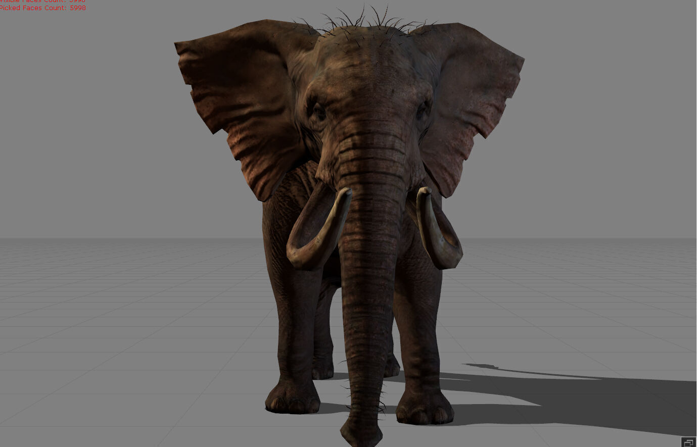 Elephant Animal  Low-poly 3D model_2