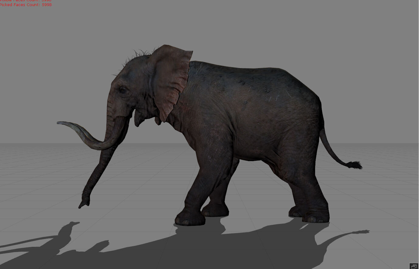 Elephant Animal  Low-poly 3D model_3